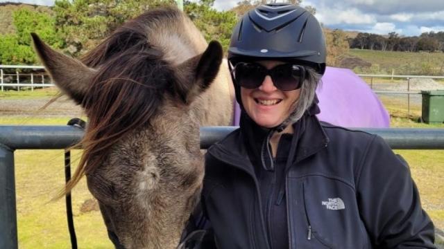 The brumby debate will never be settled until we face the role horses played in colonisation