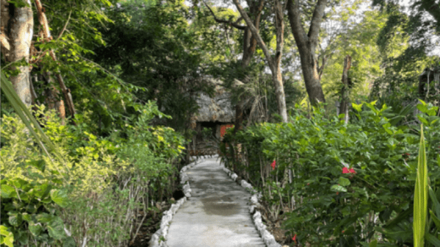 HRC partner in 2025 Global Humanities Institute on Indigenous Mobilities, Tourism, and Racial Capitalism